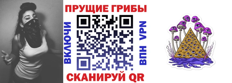 нарко площадка клад  магазин продажи   Городовиковск  Псилоцибиновые грибы MAGIC MUSHROOMS 